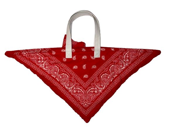 Pickleball Handbag :: PickledCAN :: PickledPaisley Summer 2025 Collection :: Special Edition